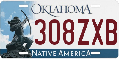 OK license plate 308ZXB