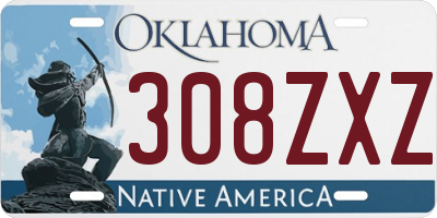 OK license plate 308ZXZ