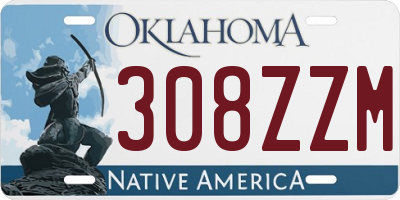 OK license plate 308ZZM