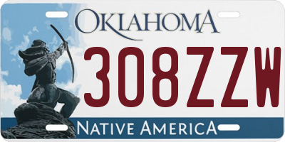 OK license plate 308ZZW