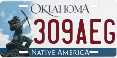 OK license plate 309AEG