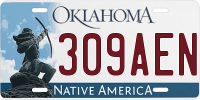OK license plate 309AEN