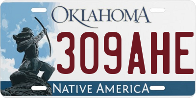 OK license plate 309AHE
