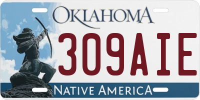 OK license plate 309AIE