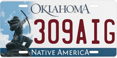 OK license plate 309AIG