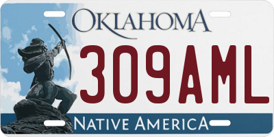 OK license plate 309AML