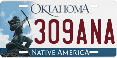 OK license plate 309ANA