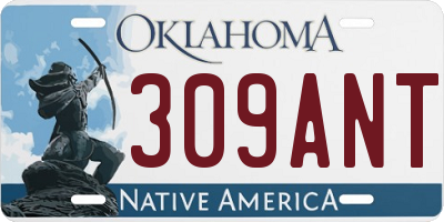 OK license plate 309ANT
