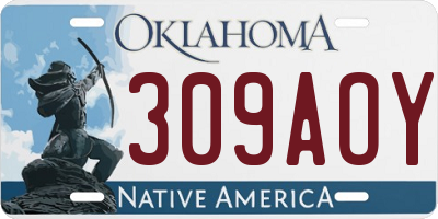 OK license plate 309AOY