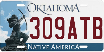 OK license plate 309ATB