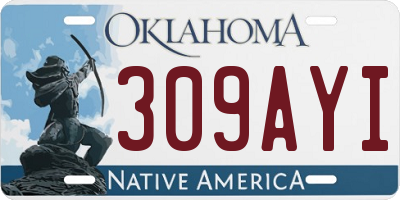 OK license plate 309AYI