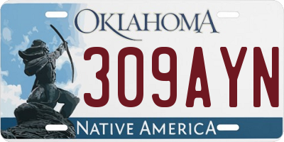 OK license plate 309AYN