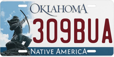OK license plate 309BUA
