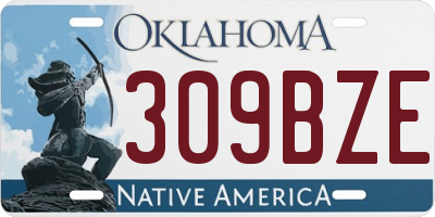 OK license plate 309BZE