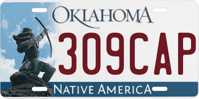 OK license plate 309CAP