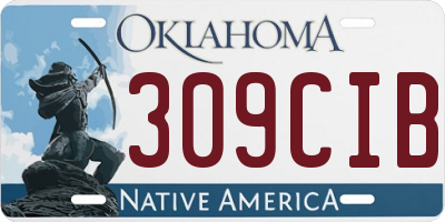 OK license plate 309CIB