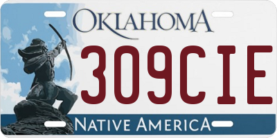 OK license plate 309CIE