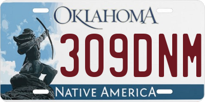 OK license plate 309DNM
