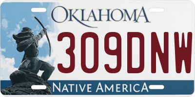 OK license plate 309DNW