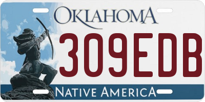 OK license plate 309EDB