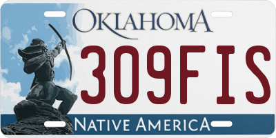 OK license plate 309FIS