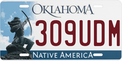 OK license plate 309UDM