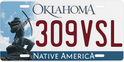 OK license plate 309VSL