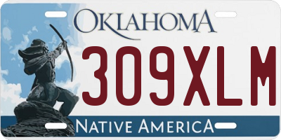 OK license plate 309XLM