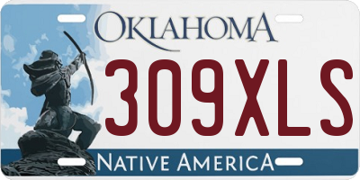 OK license plate 309XLS