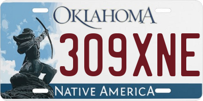 OK license plate 309XNE