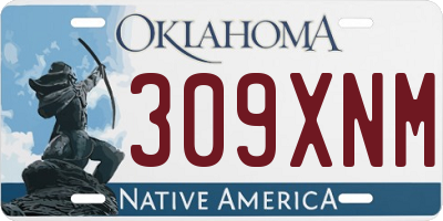 OK license plate 309XNM