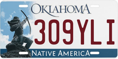 OK license plate 309YLI