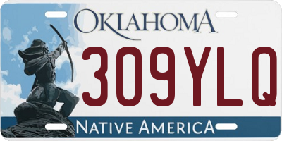 OK license plate 309YLQ
