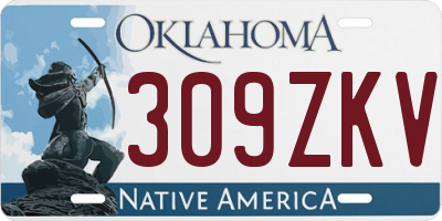 OK license plate 309ZKV