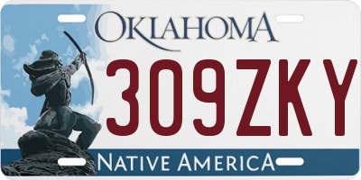 OK license plate 309ZKY
