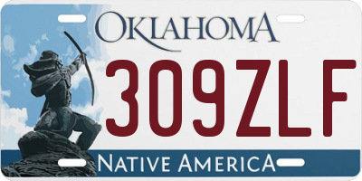 OK license plate 309ZLF