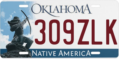 OK license plate 309ZLK