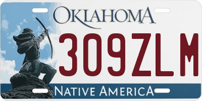 OK license plate 309ZLM