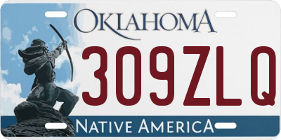 OK license plate 309ZLQ