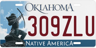OK license plate 309ZLU