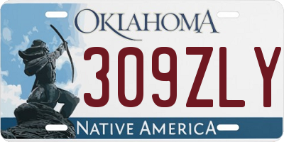 OK license plate 309ZLY