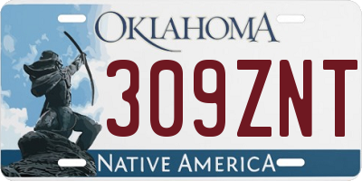 OK license plate 309ZNT