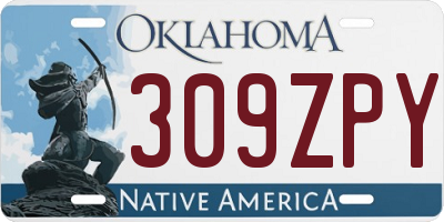 OK license plate 309ZPY