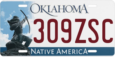 OK license plate 309ZSC