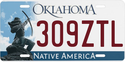 OK license plate 309ZTL
