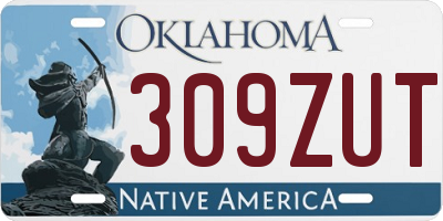 OK license plate 309ZUT