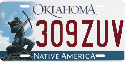 OK license plate 309ZUV