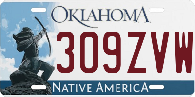 OK license plate 309ZVW