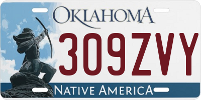 OK license plate 309ZVY