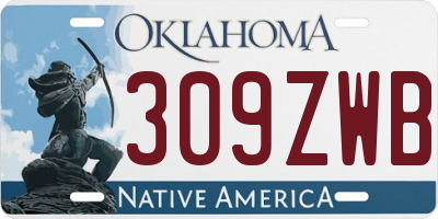 OK license plate 309ZWB